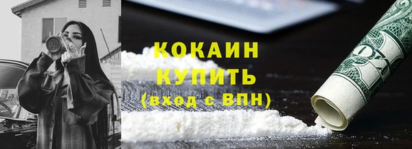 прущие грибы Зерноград