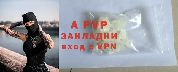 прущие грибы Зерноград