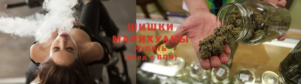 прущие грибы Зерноград
