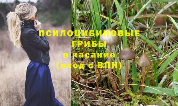jwh Зеленокумск