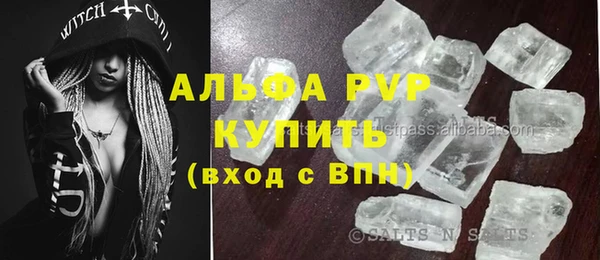 прущие грибы Зерноград
