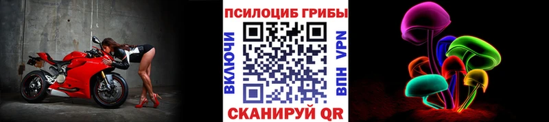Галлюциногенные грибы Magic Shrooms  Долгопрудный 