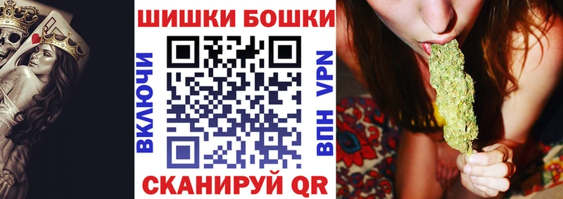 Шишки марихуана план  где найти   Долгопрудный 